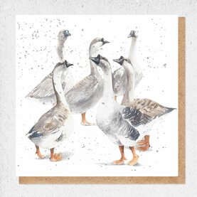 fine art collection