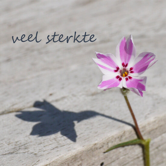 wenskaart - veel sterkte - roze bloem