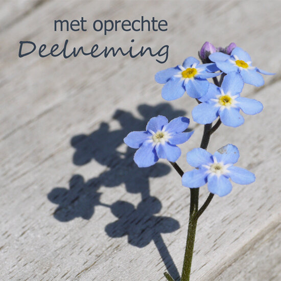 wenskaart - met oprechte deelneming - vergeetmenietje