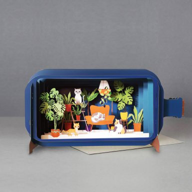 3D pop up kaart - message in a bottle - katten in kamer