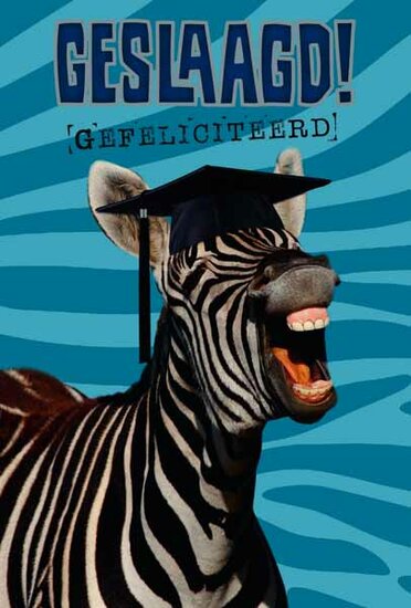 wenskaart geslaagd - gefeliciteerd - zebra