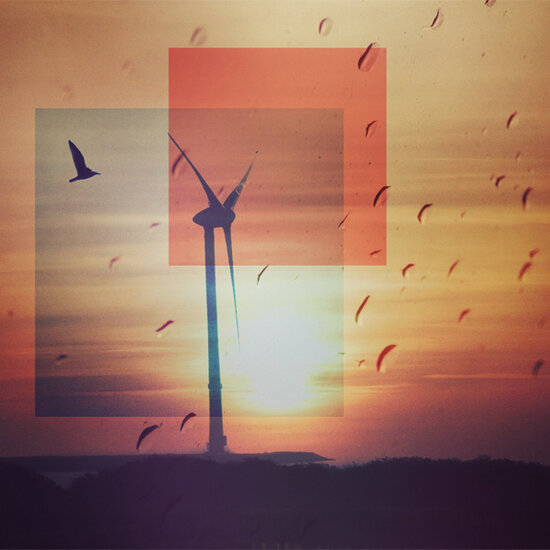 wenskaart claudia muller - windmolen en vogel bij zonsondergang