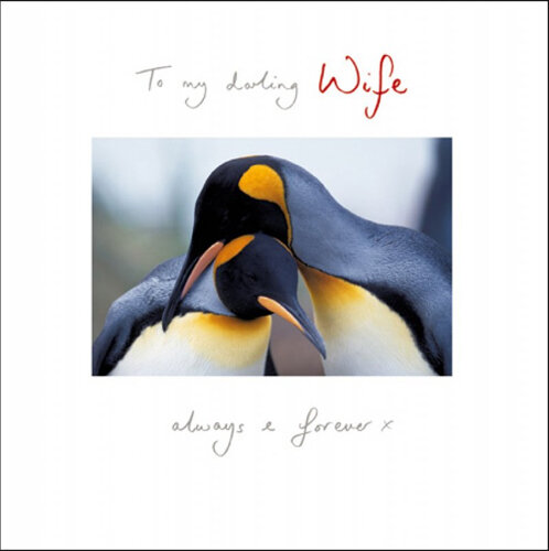 valentijnskaart woodmansterne - to my darling wife always &amp; forever x