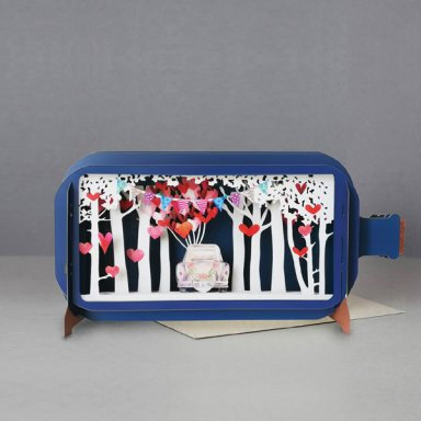 3D pop up wenskaart - message in a bottle - trouwkaart mr &amp; mrs - auto