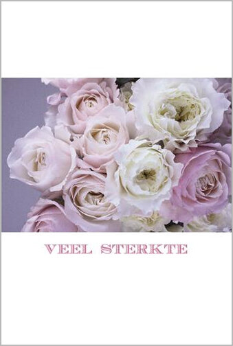 wenskaart - veel sterkte - roze rozen