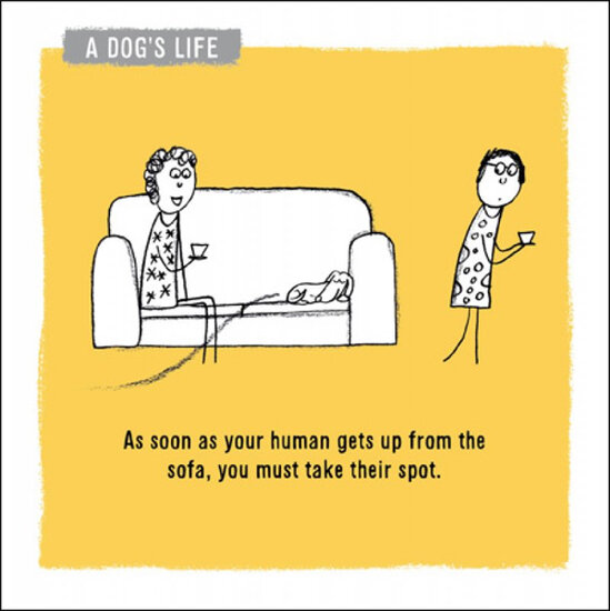 wenskaart woodmansterne - a dog&#039;s life - you must take their spot - hondenleven