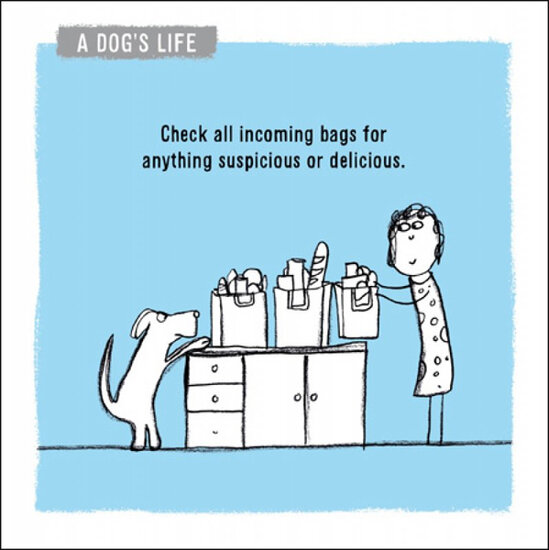 wenskaart woodmansterne - a dog&#039;s life - check all bags - hondenleven