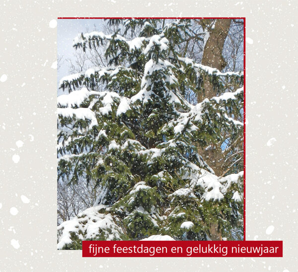10 kerstkaarten muller wenskaarten - fijne feestdagen gelukkig nieuwjaar - dennenboom met sneeuw