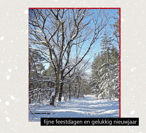 10 kerstkaarten muller wenskaarten - fijne feestdagen gelukkig nieuwjaar - bos in de sneeuw