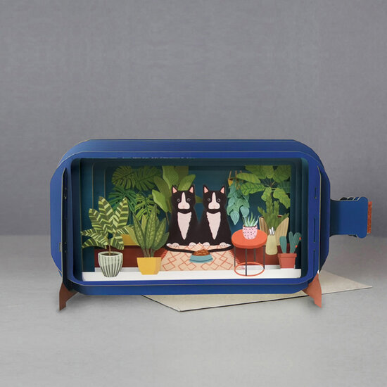 3D pop up wenskaart - message in a bottle - katten en planten