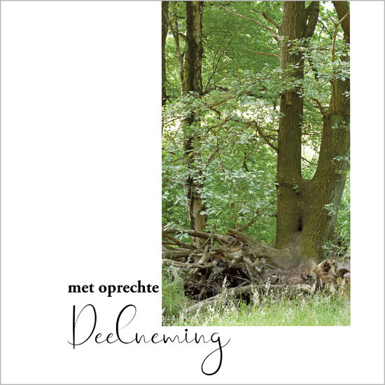 condoleancekaart - met oprechte deelneming - bos