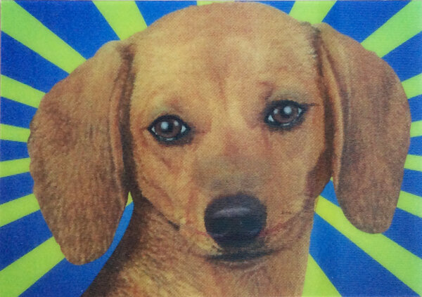 3d ansichtkaart - lenticulaire kaart - lachende teckel