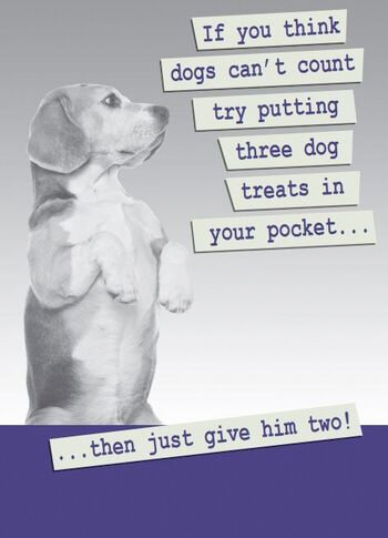 wenskaart second nature - if you think dogs can&#039;t count