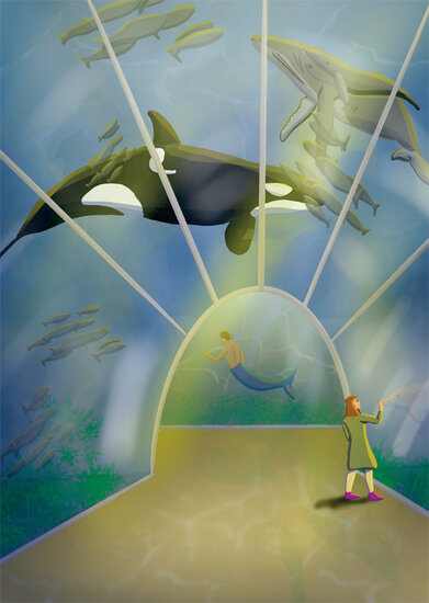 grote kaart a4 hophew studio - aquarium walvis