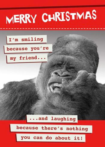 grappige kerstkaart second nature - I&#039;m smiling - aap