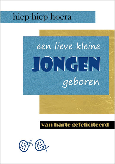 grote geboortekaart a4 - een lieve kleine jongen geboren