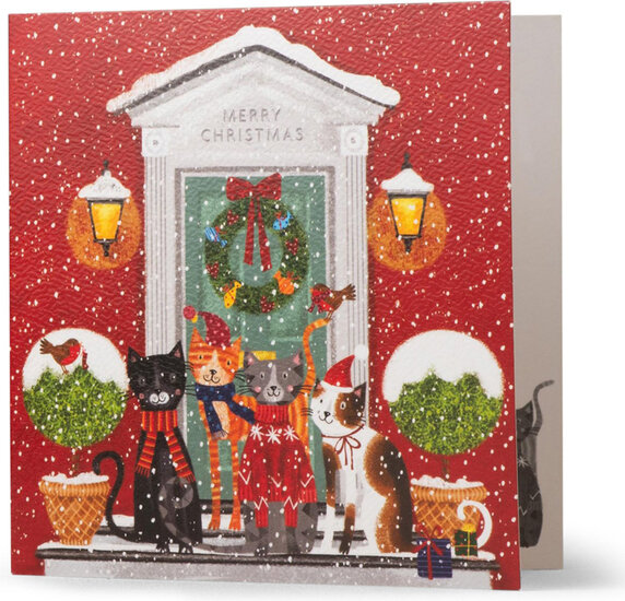 12 kerstkaarten noel tatt - merry christmas and a happy new year - katten