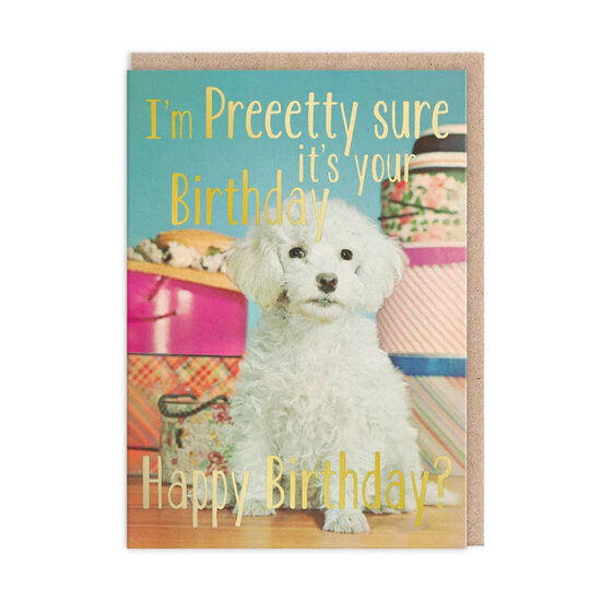 verjaardagskaart ohh deer - pretty sure it&#039;s your birthday - poedel