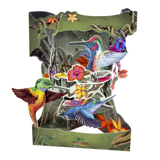 3D kaart - swing cards - kolibrie