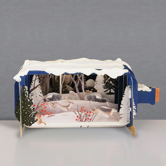 3D pop up wenskaart - message in a bottle - hazen in de sneeuw