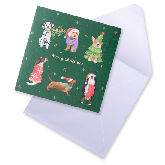 12 kerstkaarten noel tatt - merry christmas and a happy new year - honden