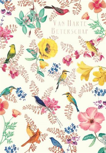 luxe beterschapskaart clare maddicott - van harte beterschap - bloemen en vogels
