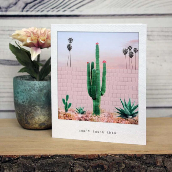 santoro incidental instants - luxe wenskaart - can&#039;t touch this - cactus