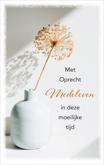 condoleancekaart - met oprechte deelneming in deze moeilijke tijd