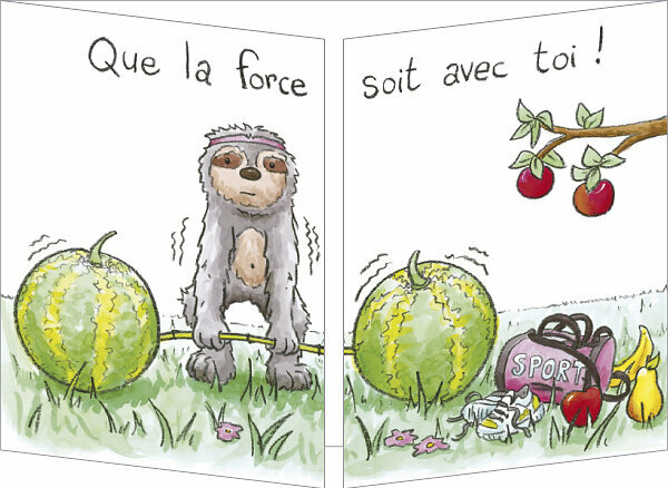 uitklapbare verjaardagskaart cache-cache - sportende luiaard - may the force be with you