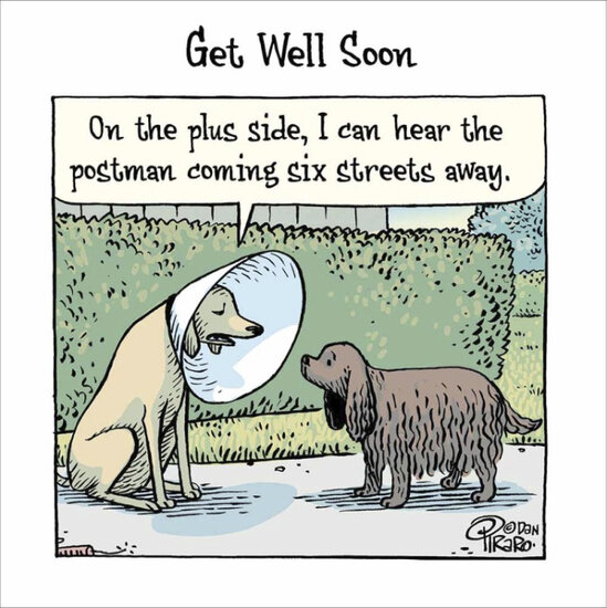beterschapskaart woodmansterne -  get well soon - honden