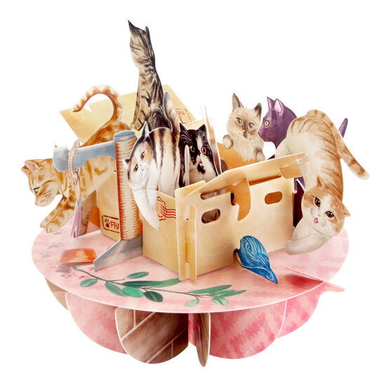 3D kaart - pirouettes cards - purrrfect parcel - katten in doos