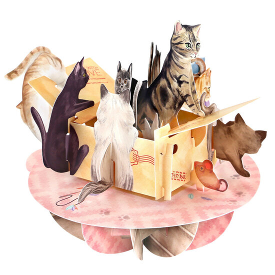 3D kaart - pirouettes cards - purrrfect parcel - katten in doos