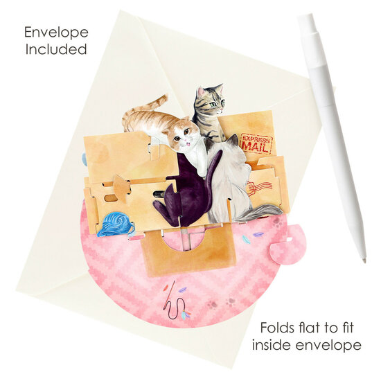 3D kaart - pirouettes cards - purrrfect parcel - katten in doos