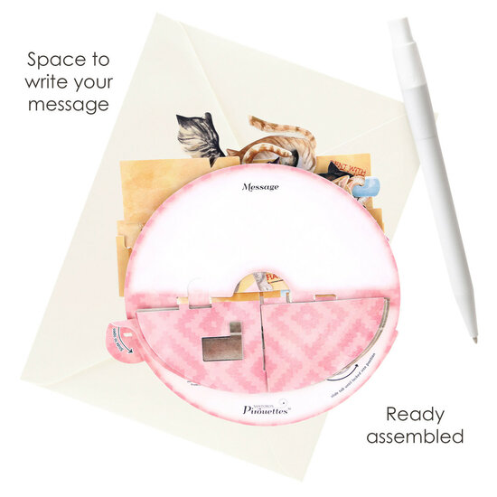 3D kaart - pirouettes cards - purrrfect parcel - katten in doos