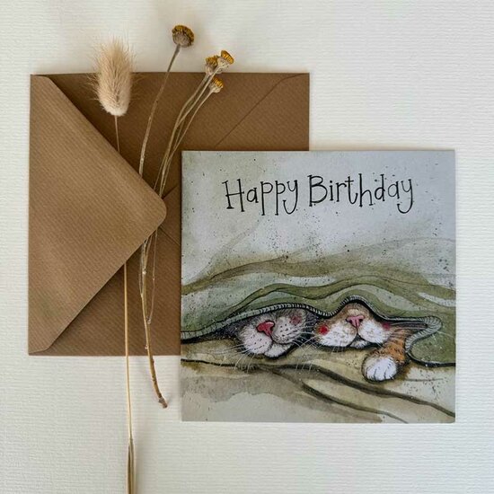verjaardagskaart alex clark - happy birthday - verstopte katten