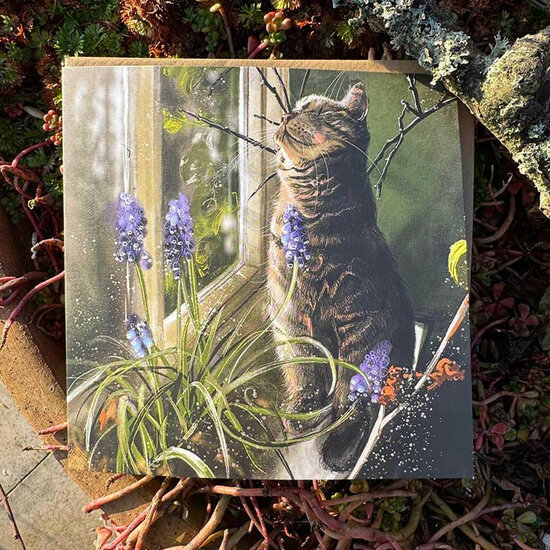 wenskaart alex clark - kat en blauwe druifjes
