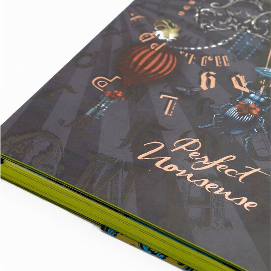 Santorus groot notitieboek - nonsense