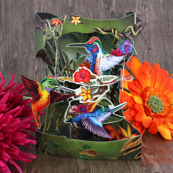 3D kaart - swing cards - kolibrie