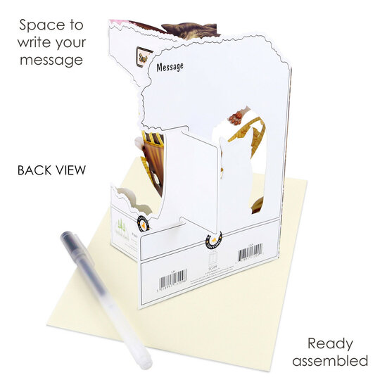 3D kaart - swing cards - katten en hangmat