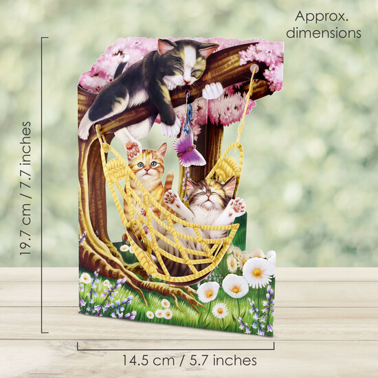 3D kaart - swing cards - katten en hangmat