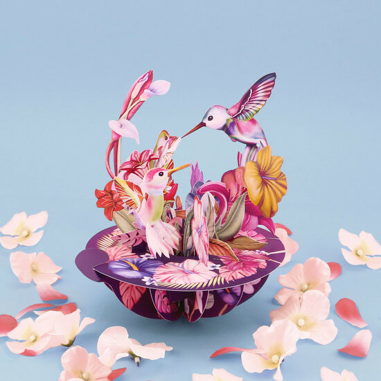 3D kaart - pirouettes cards - kolibries