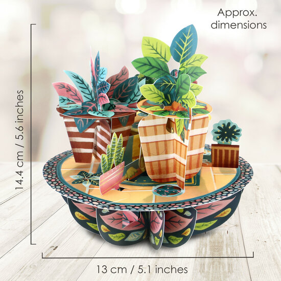 3D kaart - pirouettes cards - planten