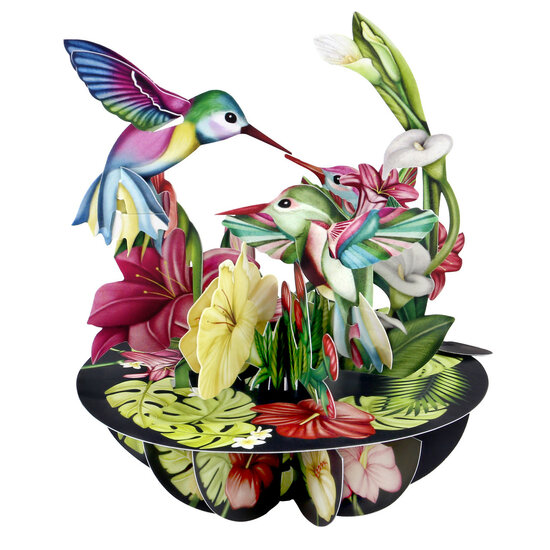 3D kaart - pirouettes cards - kolibries-2