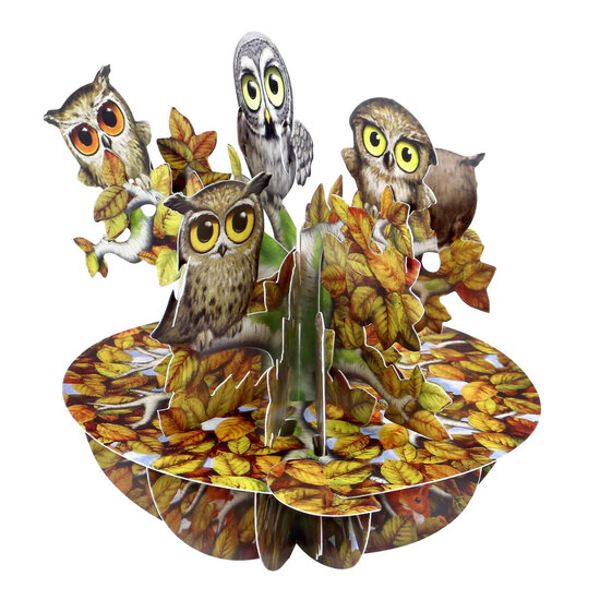 3D kaart - pirouettes cards - uilen