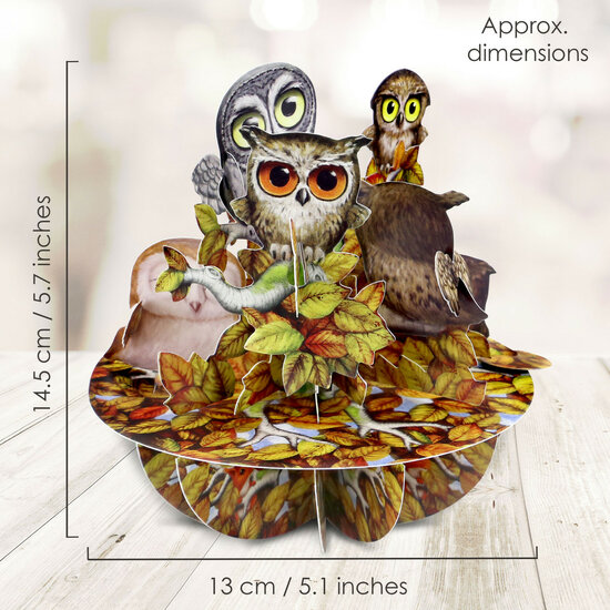 3D kaart - pirouettes cards - uilen