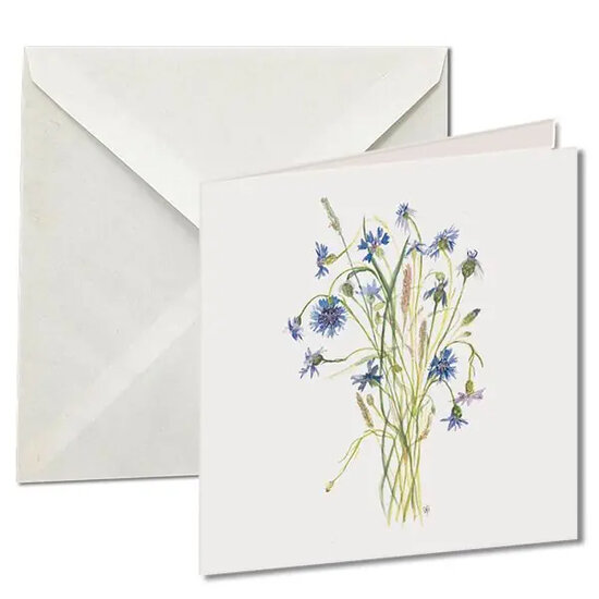 10 wenskaarten voor amnesty international - wildflower