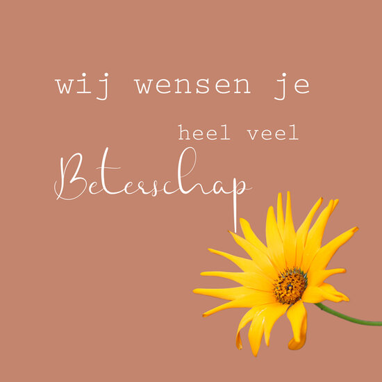 beterschapskaart - wij wensen je heel veel beterschap - bloem | muller wenskaarten