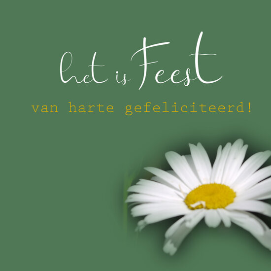 felicitatiekaart - het is feest - witte bloem | muller wenskaarten