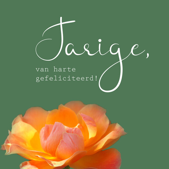 verjaardagskaart - jarige, van harte gefeliciteerd! - oranje roos