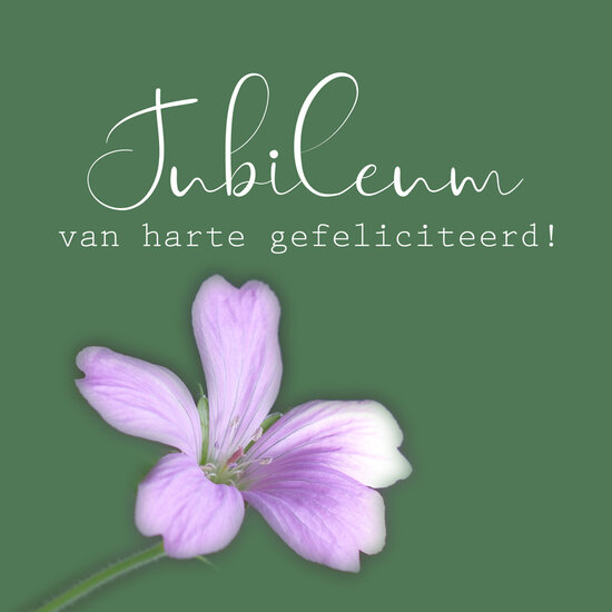 wenskaart - jubileum van harte gefeliciteerd! - roze bloem